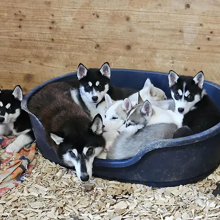 Apartamento Vent_du_nord